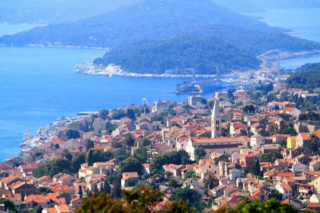 Guest house Double Room Mali Losinj 7953B